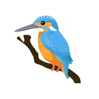 Name of Animals in English |Kingfisher in English
