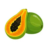 Fruits Vocabulary words | Pawpaw in English