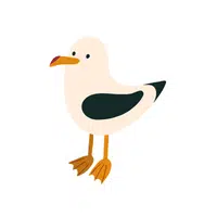 Name of Animals in English |Albatross in English