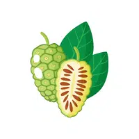 Fruits Vocabulary words | Noni Fruit in English