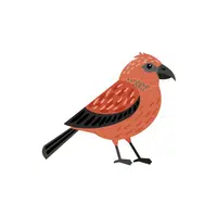 Crossbill in English 