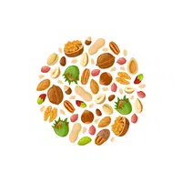 Food Vocabulary Words |Nuts in English