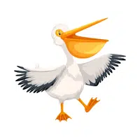 Name of Animals in English |Pelican in English