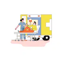 Hospital Vocabulary Words |Patient transfer board in English