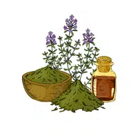 Food Vocabulary Words | Herbs in English