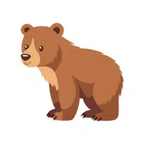 Name of Animals in English | Bear in English
