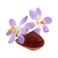 Dry Fruits Name | Saffron in English