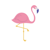 Birds Name in English | Flamingo in English 