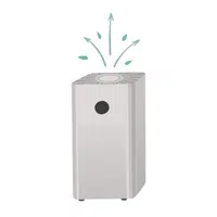 Air purifier in English