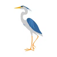 Name of Animals in English |Heron in English
