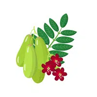 Fruits Vocabulary words | Bilimbi in English