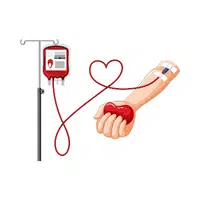 Hospital Vocabulary Words | Blood bag in English