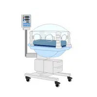 Hospital Vocabulary Words |Neonatal Intensive Care Unit (NICU) in English