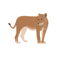 Name of Animals in English |Lioness in English