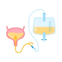 Hospital Vocabulary Words |Foley Catheter in English