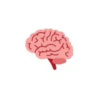 Internal Body Parts Names |Brain in English