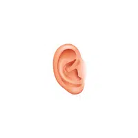 Body Parts Names of Humans | Ear in English