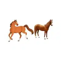 Masculine and Feminine Gender of Animals | Stallion - Mare in English