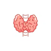 Internal Body Parts Names | Thyroid in English