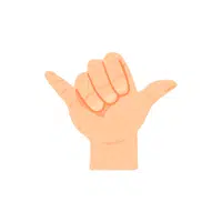 Hand Gestures meaning | Shaka sign in English