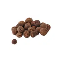 Spices Names |Allspice in English 