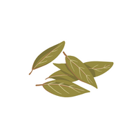 Spices Names |Bay leaves in English 
