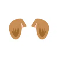 Animals Body Parts Name | Dog Ears in English