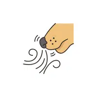 Animals Body Parts Name | Dog Nose in English