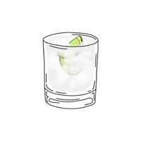 Drink Names Vocabulary |Gin and Tonic in English