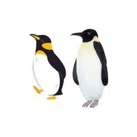 Masculine and Feminine Gender of Animals |Emperor - Empress in English