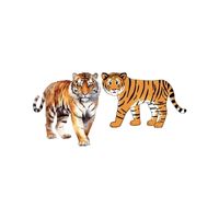 Masculine and Feminine Gender of Animals |Tiger - Tigress in English