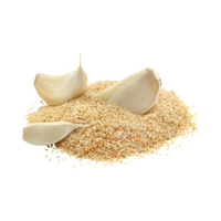 Spices Names |Garlic powder in English 