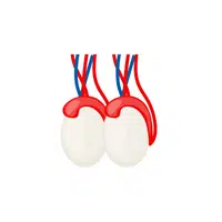 Internal Body Parts Names | Testes (in males) in English