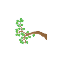 Parts of Plant |Branch in English