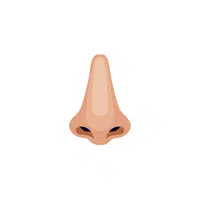 Body Parts Names of Humans |Nose in English