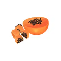 Cooking Verbs |Dice in English