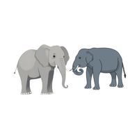 Masculine and Feminine Gender of Animals | Elephant - Cow in English