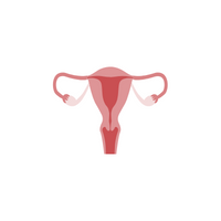 Internal Body Parts Names |Ovaries (in females) in English