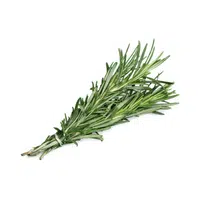 Rosemary in English 