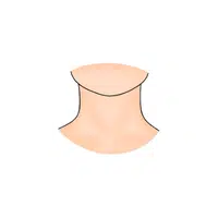 Body Parts Names of Humans | Neck in English