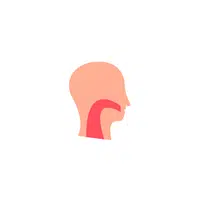 Body Parts Names of Humans |Throat in English