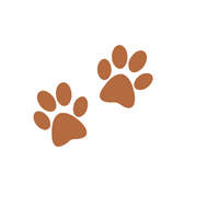Animals Body Parts Name | Dog Paws in English