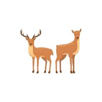 Masculine and Feminine Gender of Animals | Deer - Doe in English