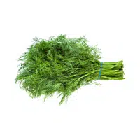 Dill in English 