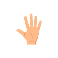 Body Parts Names of Humans | Hand in English