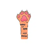 Animals Body Parts Name | Dog Paw Pads: in English