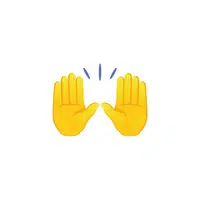 Hand Gestures meaning | Raised hand in English