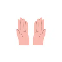 Hand Gestures meaning | Praying hands in English