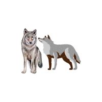 Masculine and Feminine Gender of Animals | Wolf - She-wolf in English