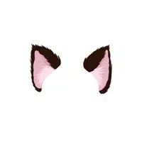 Animals Body Parts Name |Cat Ear in English